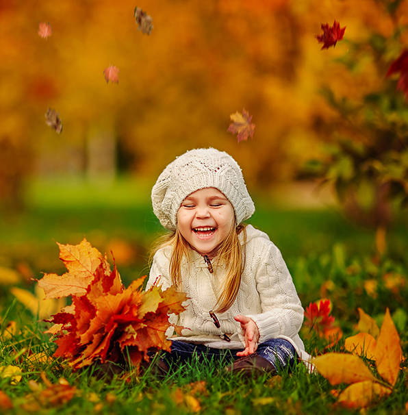 entire collection lightroom presets